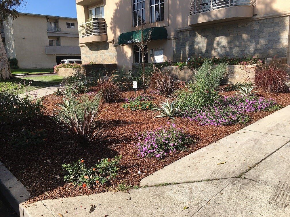 Simple Beautiful Garden — Maintenance in Culver City, CA