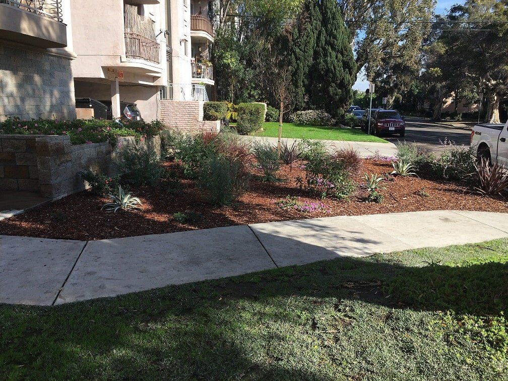 Clean Pathway In The Garden — Maintenance in Culver City, CA