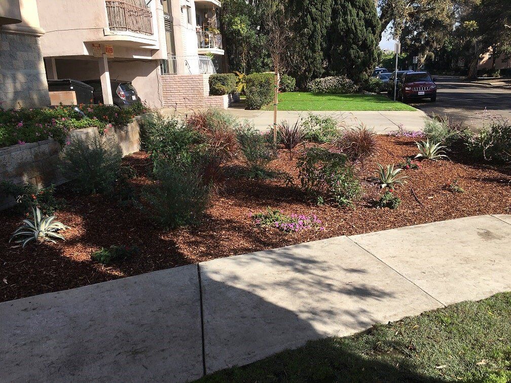 Green Plants In Healthy Soil — Maintenance in Culver City, CA