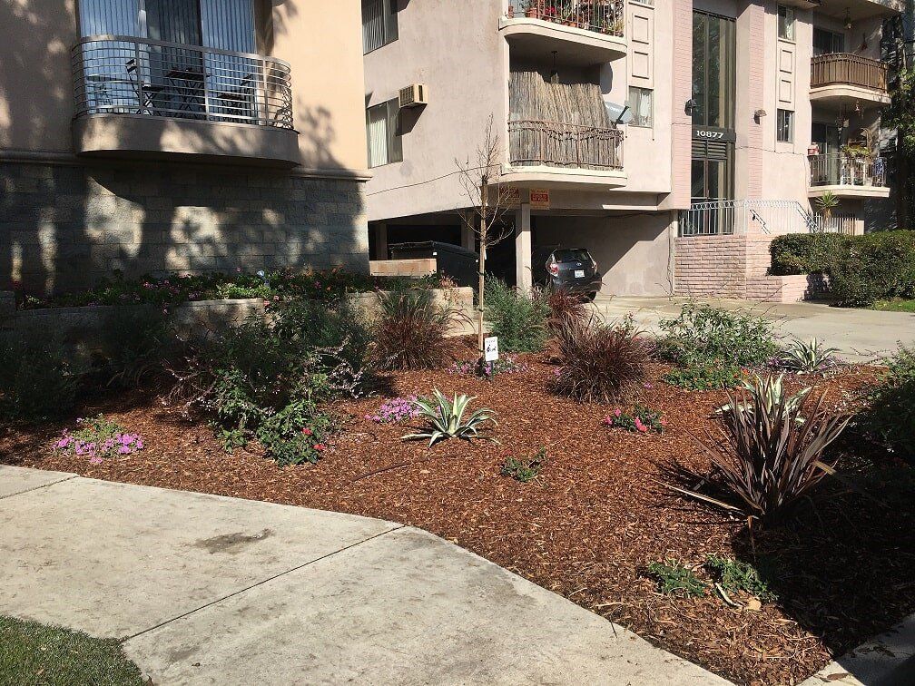 Garden Of A Pink House — Maintenance in Culver City, CA