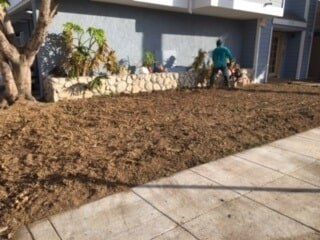 Workers Planting Plants — Maintenance in Culver City, CA