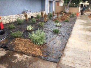 Healthy Plants — Maintenance in Culver City, CA