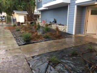 Wet Plants In-front Of Blue House — Maintenance in Culver City, CA