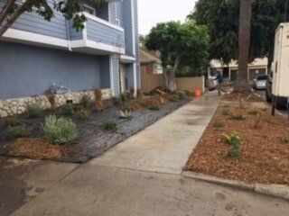 Newly Planted Plants — Maintenance in Culver City, CA