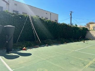 A basketball court with a hedge behind it and a building in the background.