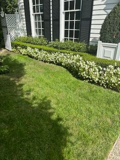 A lush green lawn in front of a white house with black shutters.