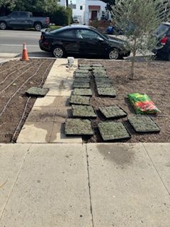 A black car is parked on the side of the road next to a sidewalk.
