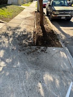 A car is parked on the side of the road next to a tree.