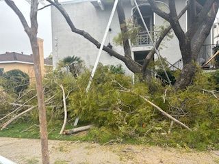 A tree that has fallen in front of a house.