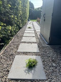 A stone walkway with a plant growing out of one of the tiles.