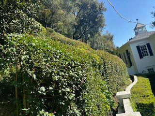 Gardener Planting New Grass — Gardener in Culver City, CA