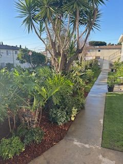 A walkway surrounded by lots of plants and trees leading to a house.