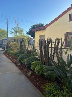 A sidewalk leading to a house with a fence and lots of plants.