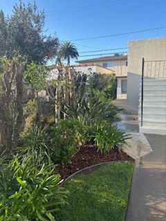 A garden with lots of plants and trees in front of a house.
