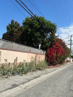 A street with a fence and trees on the side of it