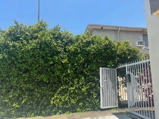 A large hedge is surrounding a gate and a building.