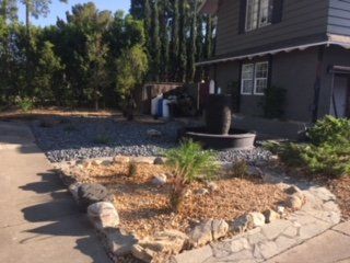Woman Working In The Garden — Trim Shrubs in Culver City, CA
