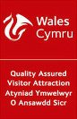 Wales Cymru logo
