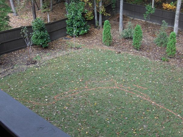 An aerial view of a backyard with a fence and trees