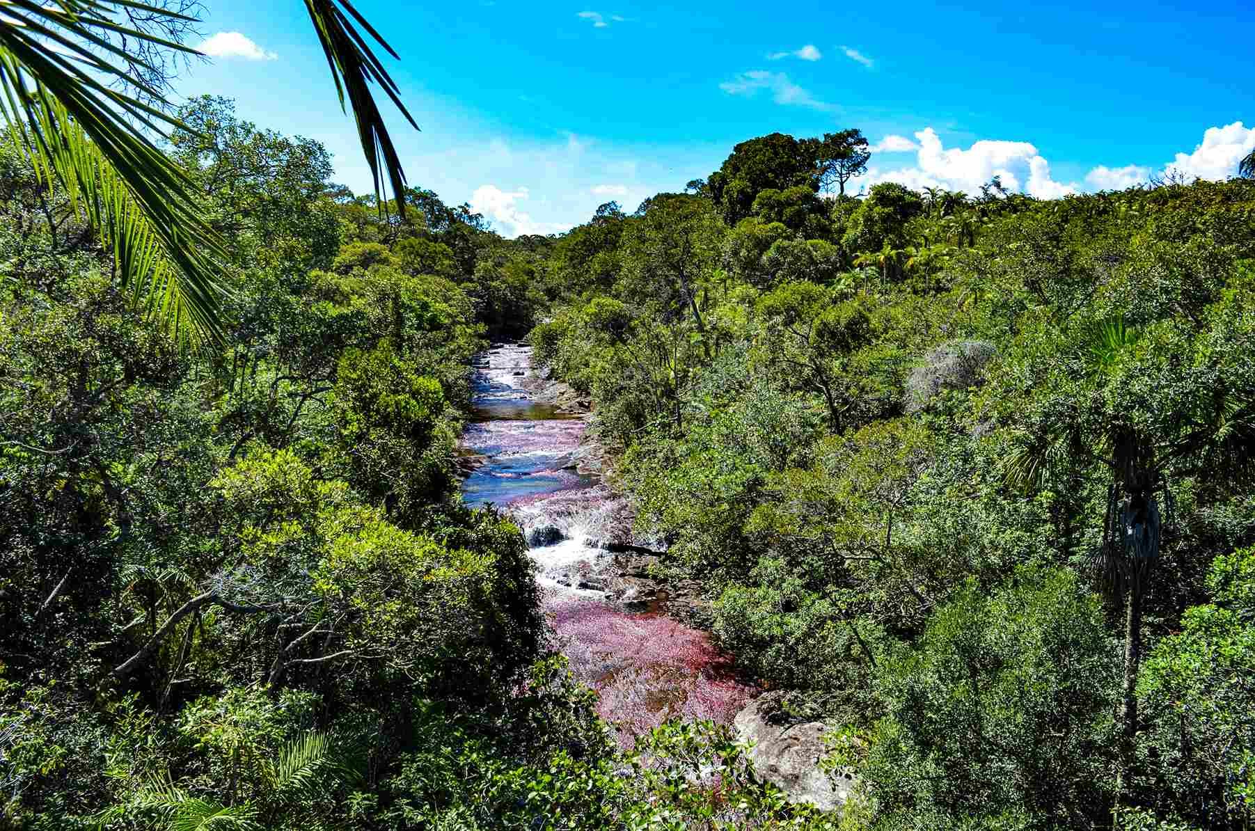 Paisaje rodeado de vegetación, destino natural del departamento del Meta