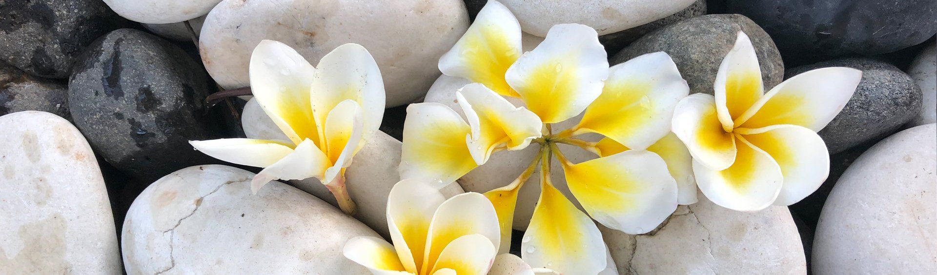 Jasmijn_Angèle_Krul_Coaching