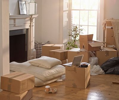 Moving Service Phoenix Az Moving For Sport