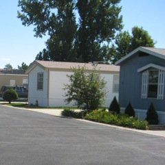 Mobile homes with trees
