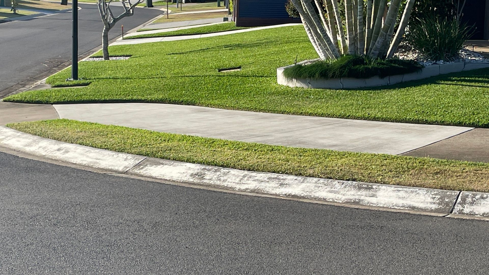 Curved asphalt road with curb and grass, sidewalk, and lawn with tree.