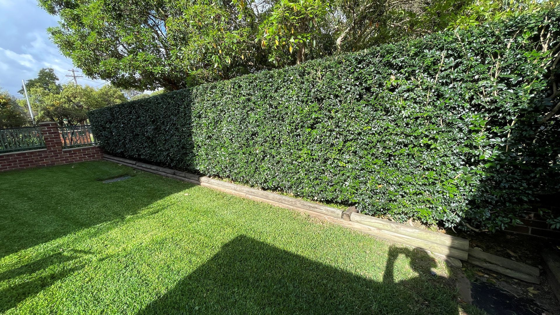 Man pruning a green hedge with pruning shears in front of a white house.