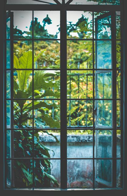 A window with a view of a lush green garden.