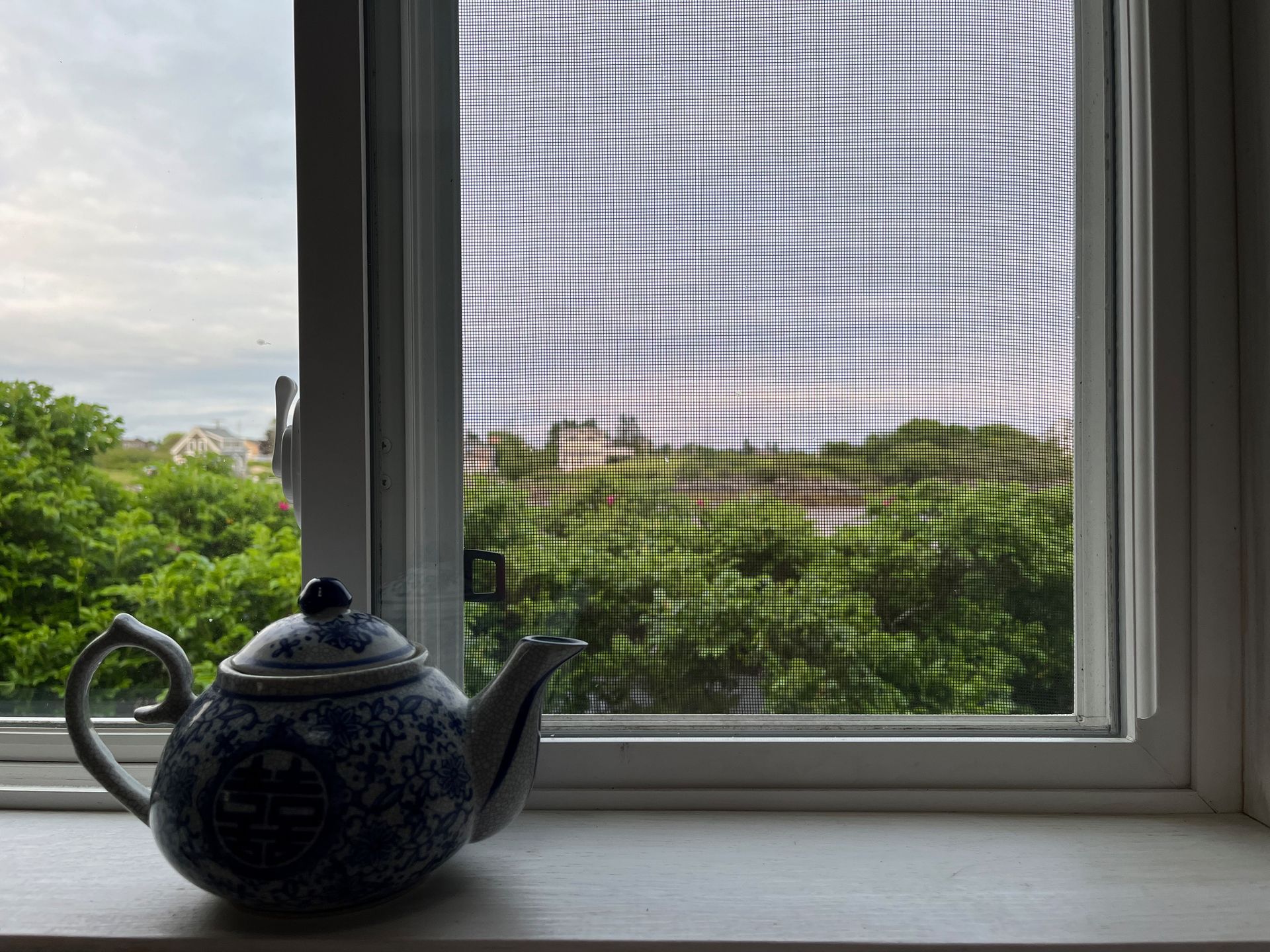 Teapot on windowsill with trees and buildings visible through mesh screen.
