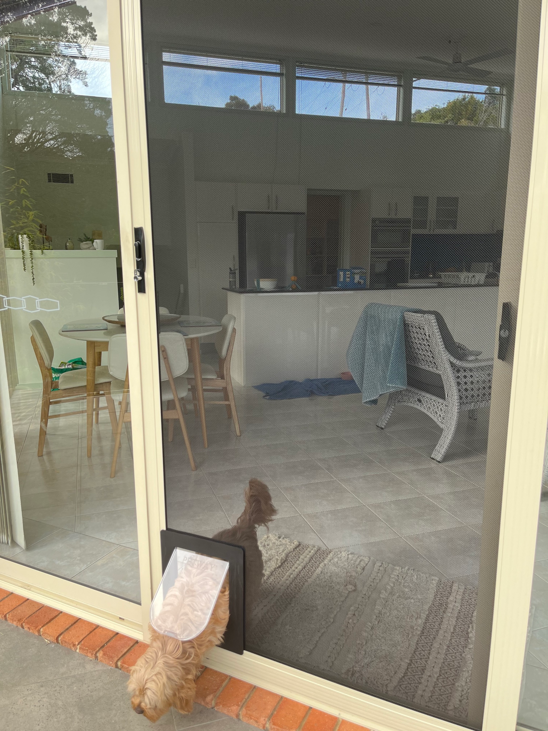 screen door with pet door canberra