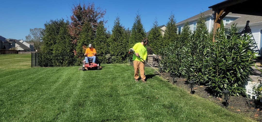 commercial landscaping professional - commercial landscaping professional