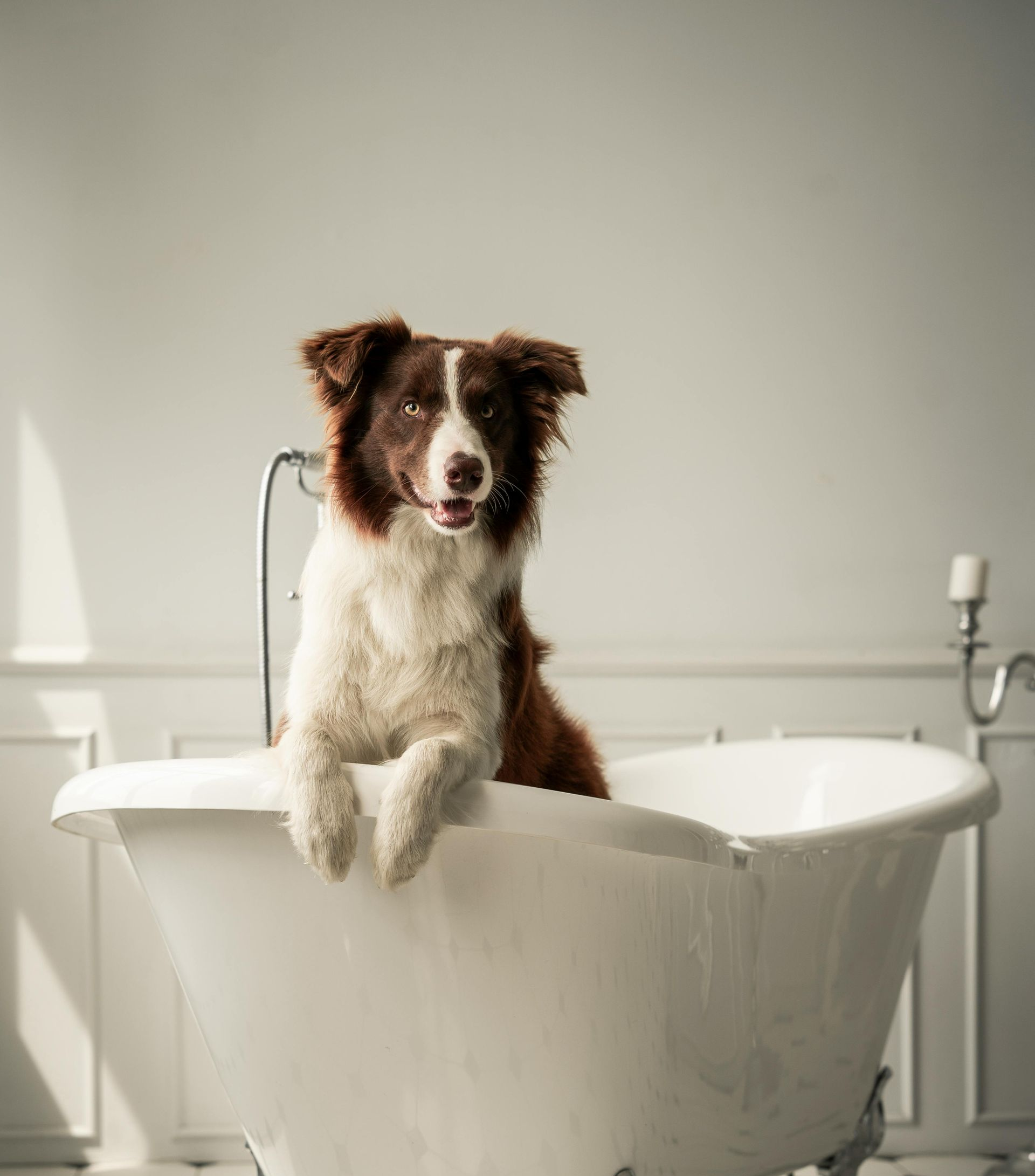 This is a step-in conversion bathtub