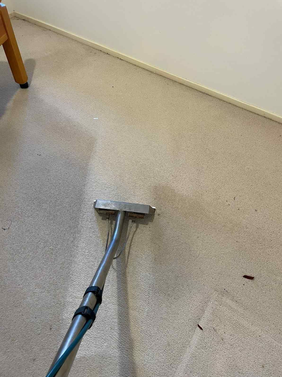 A Vacuum Cleaner is Being Used to Clean a Carpet in a Room — Doobies Cleaning Service in Port Macquarie, NSW