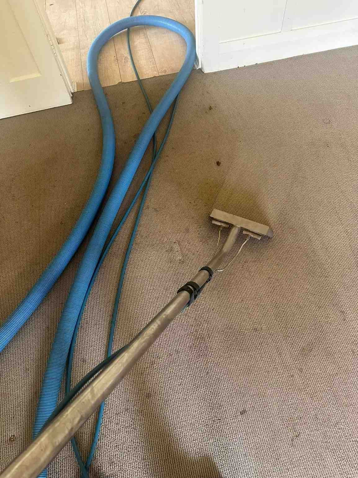 A Vacuum Cleaner is Cleaning a Carpet in a Room — Doobies Cleaning Service in Port Macquarie, NSW