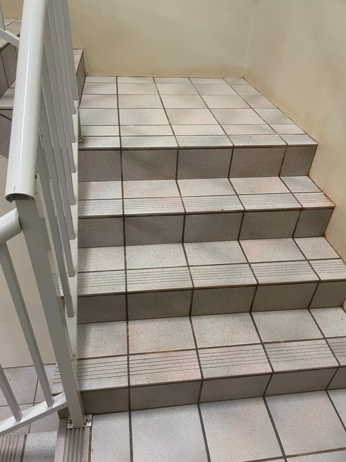 A .Set of Tiled Stairs With a White Railing — Doobies Cleaning Service in Kempsey, NSW