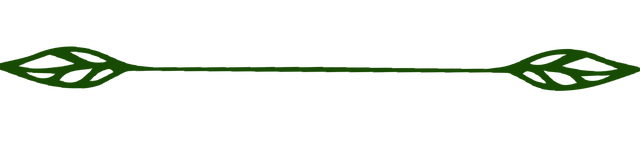 A drawing of a swirl with leaves on a white background.