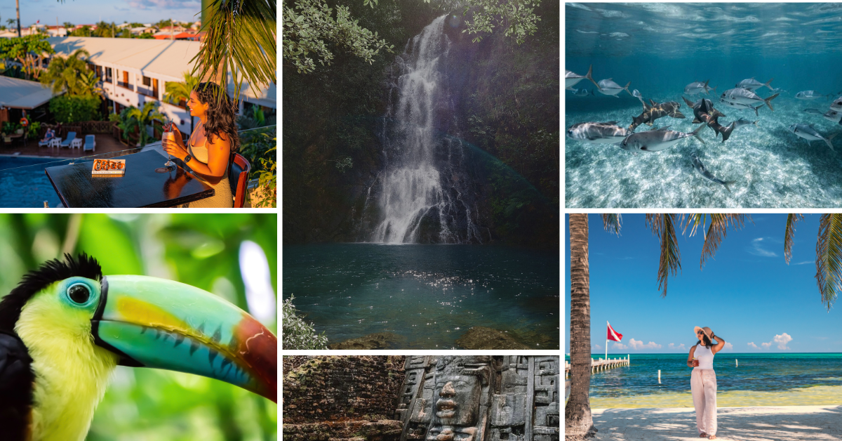 a collage of pictures of a waterfall , a toucan , a pool , and a woman on a beach .
