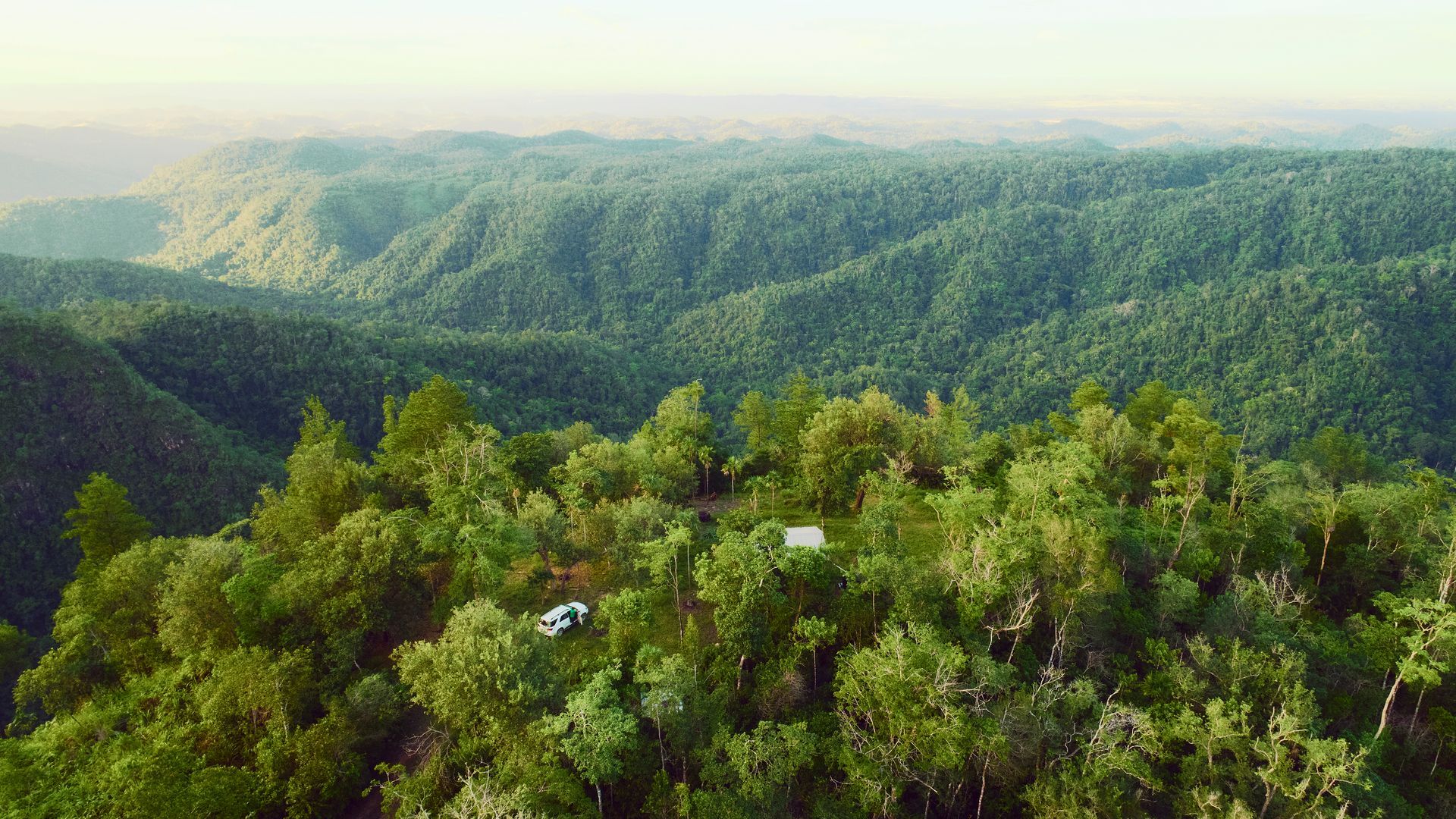 An aerial view of a lush green forest with mountains in the background.