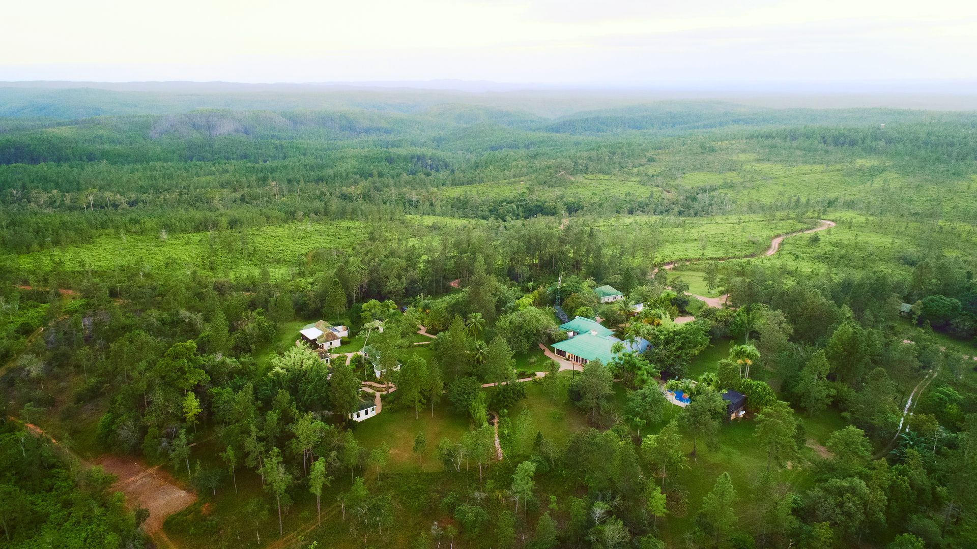 an aerial view of a lush green forest with a house in the middle .