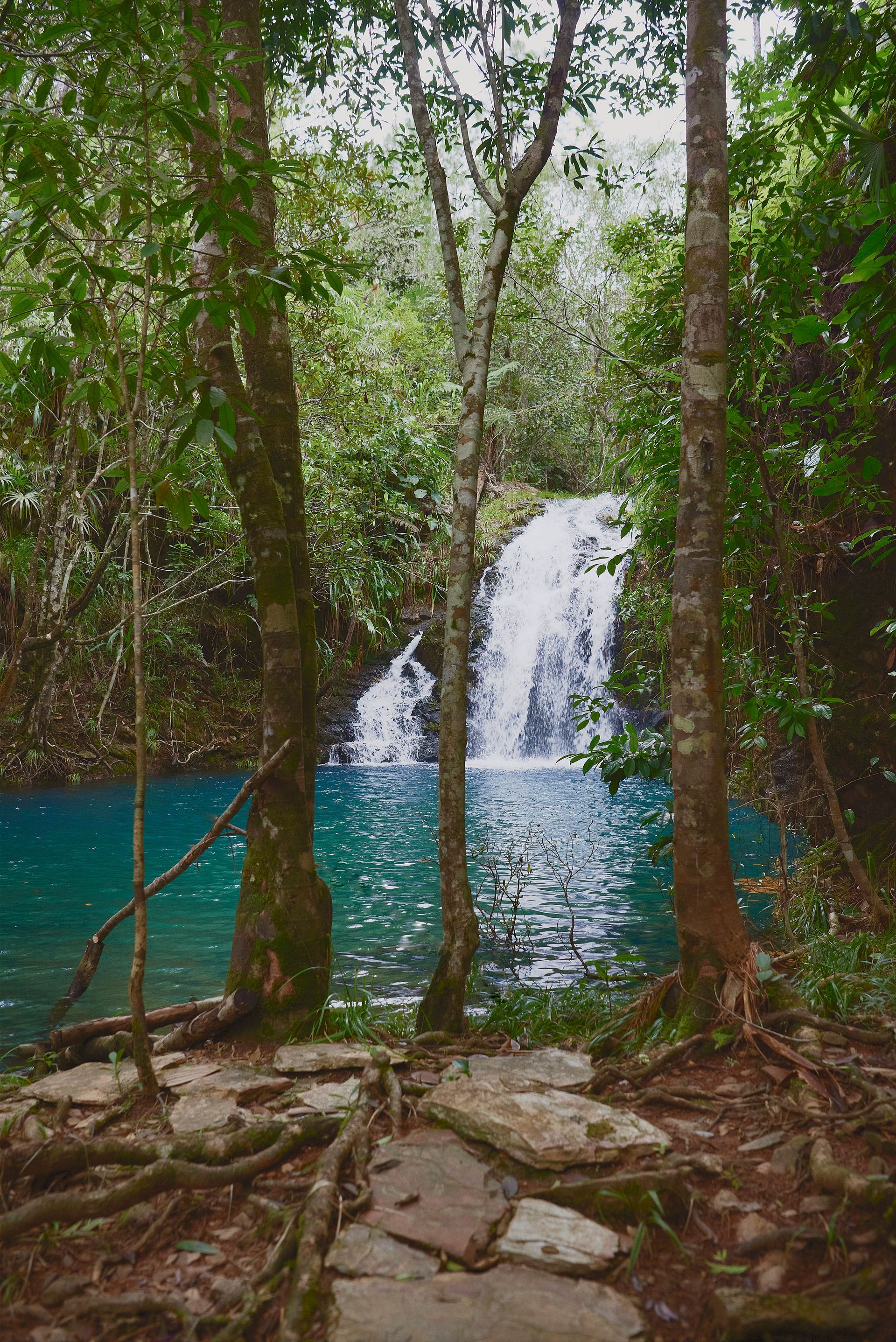 a waterfall in the middle of a lush green forest surrounded by trees and rocks .