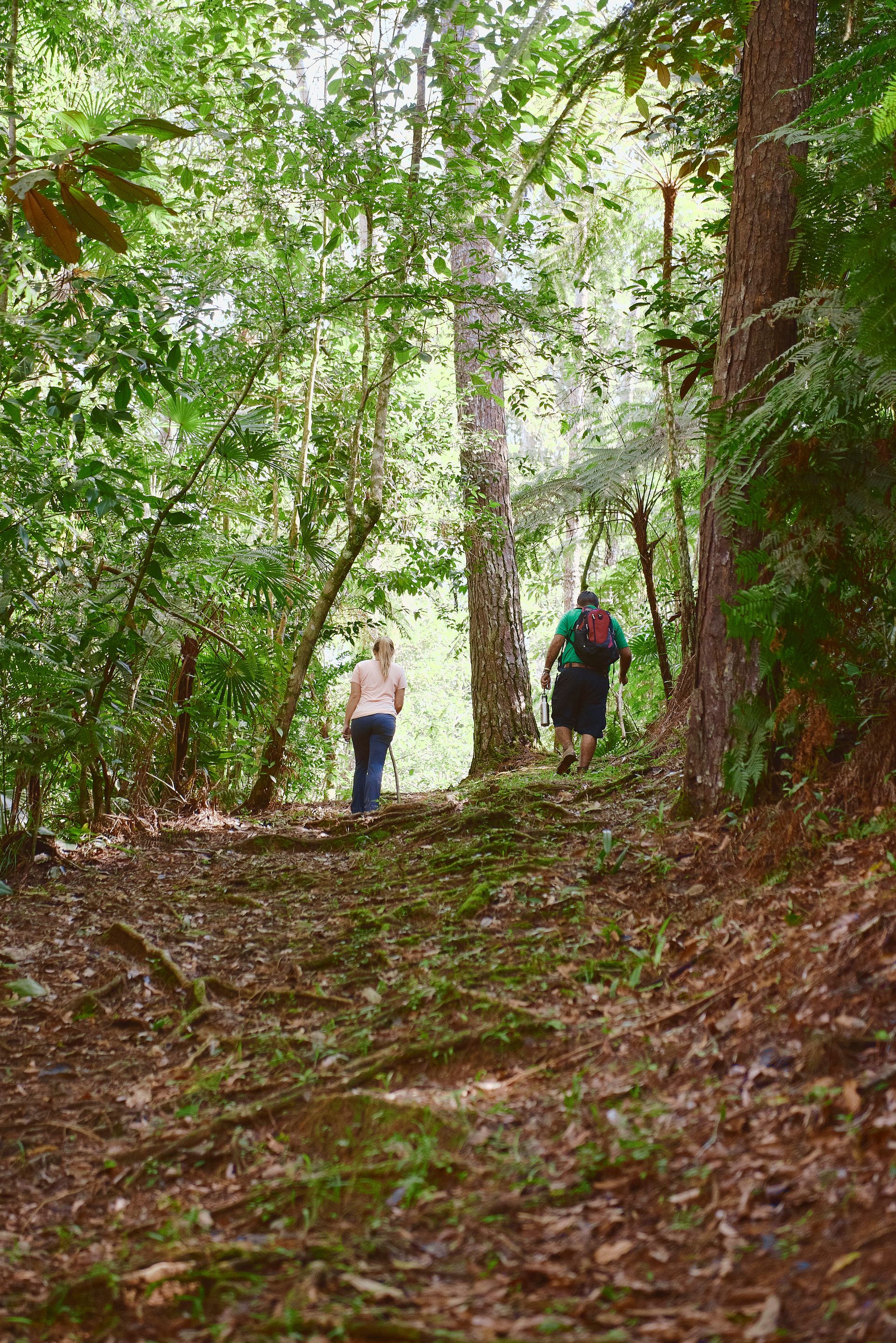 two people are walking down a path in the woods .