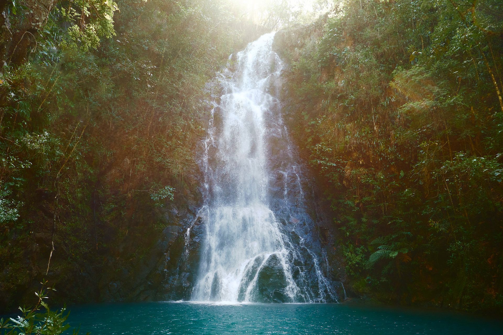 a waterfall in the middle of a forest with the sun shining through the trees