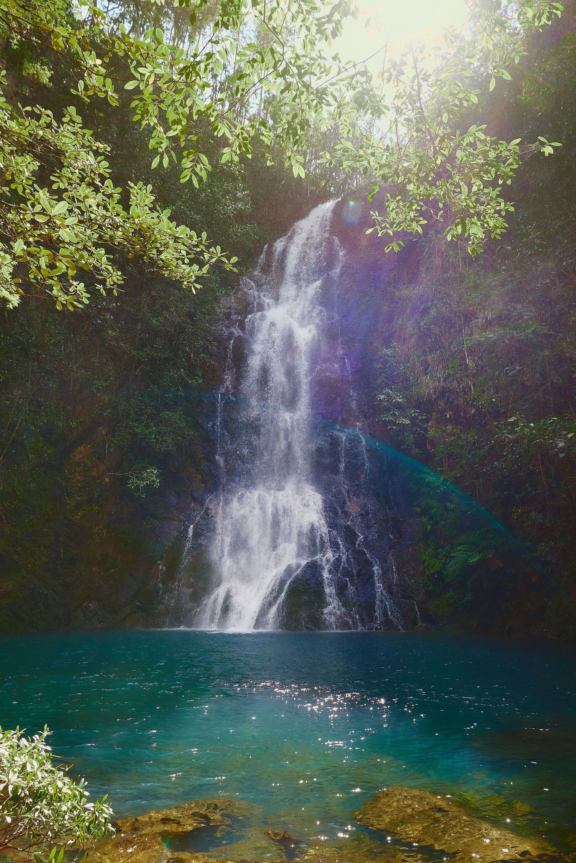 a waterfall in the middle of a forest with the sun shining through the trees .