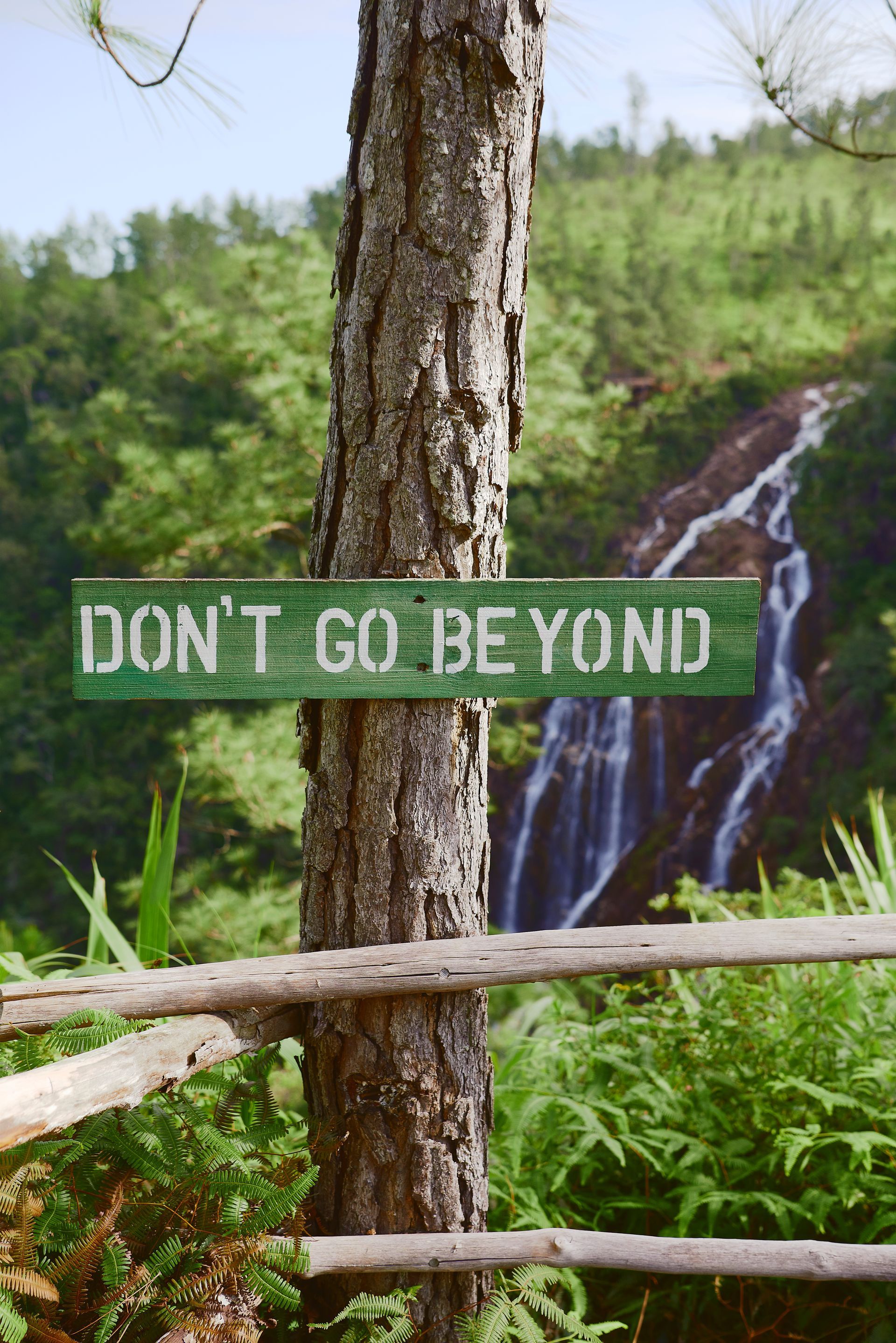 a sign on a tree says `` do n't go beyond '' in front of a waterfall .
