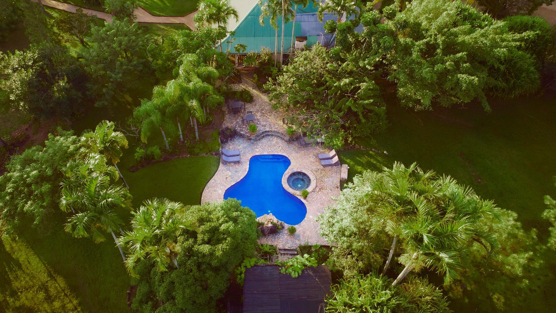 an aerial view of a large swimming pool surrounded by trees .