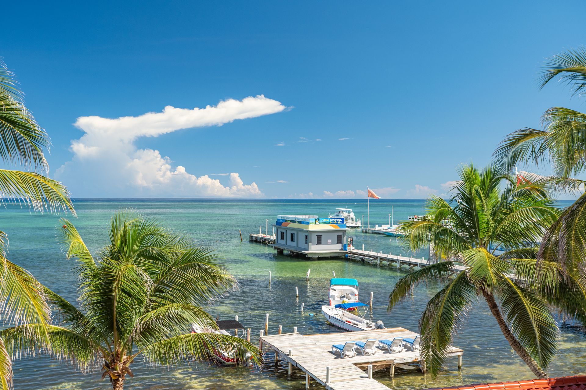 A dock with boats docked in the ocean with palm trees in the foreground.