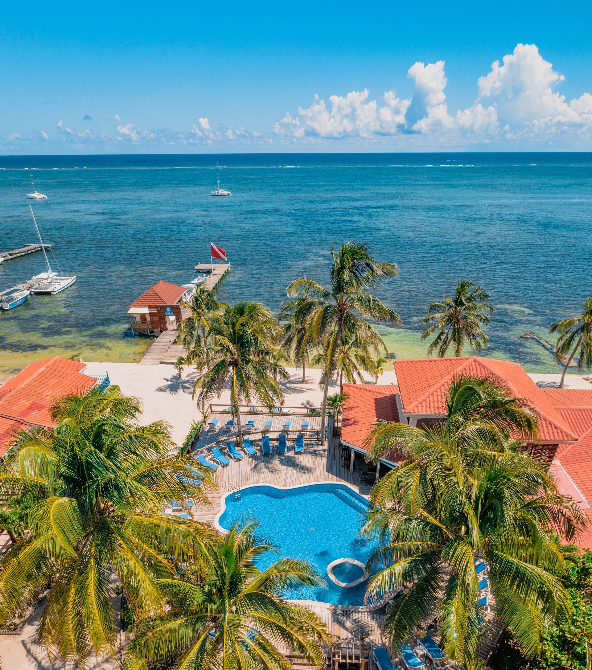 An aerial view of a tropical resort with a large swimming pool surrounded by palm trees.