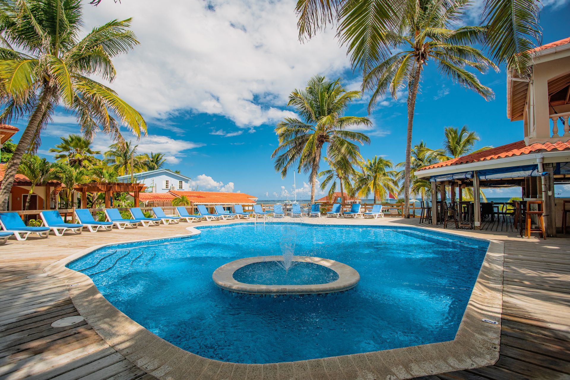 A large swimming pool with a fountain in the middle is surrounded by palm trees.